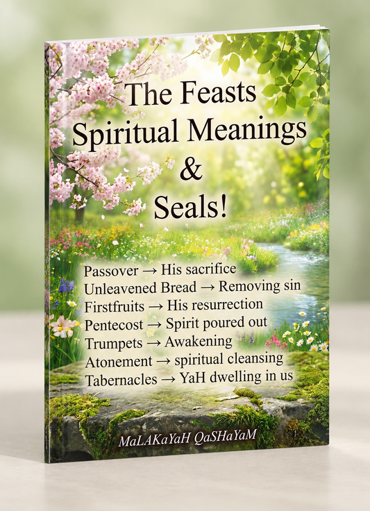 The Feasts Spiritual Meanings and Seals Paperback